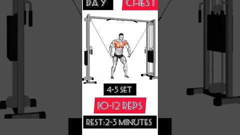 Workout:Day chest