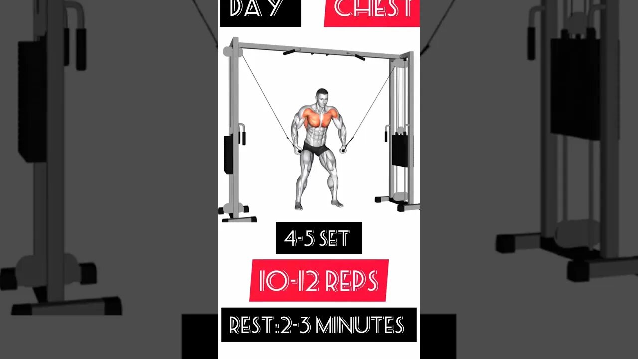 Workout:Day chest