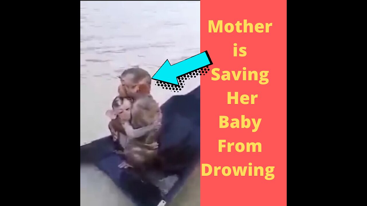 A Mother saving her Baby