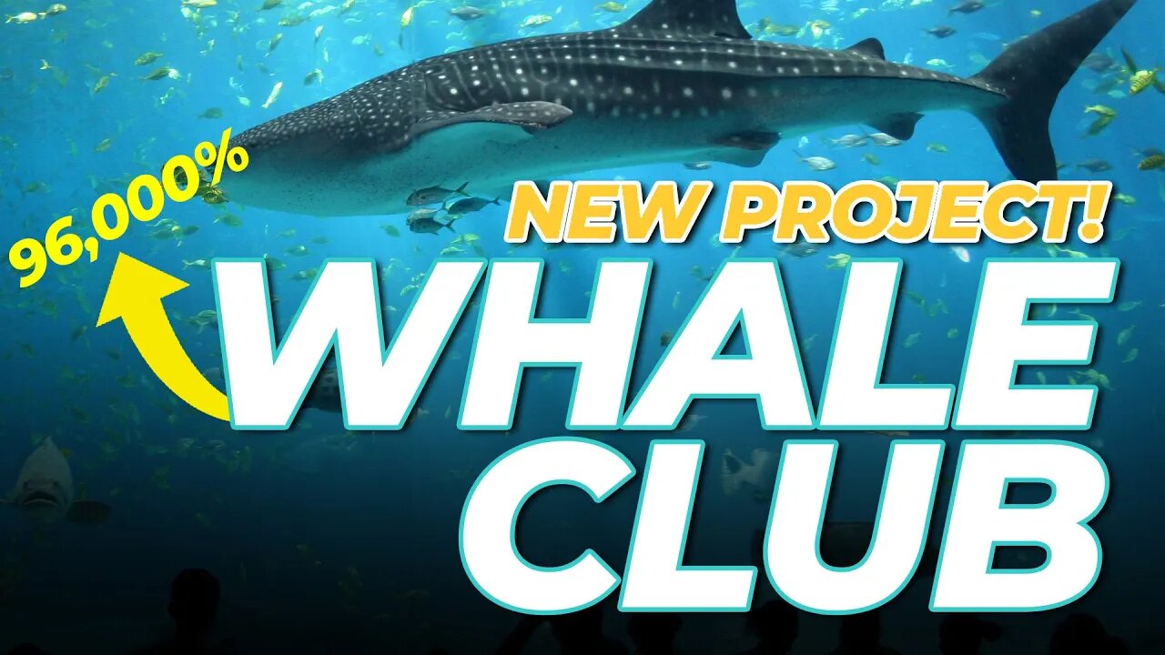 New Project! WHALE CLUB | A TITANO Fork with 96000% APY