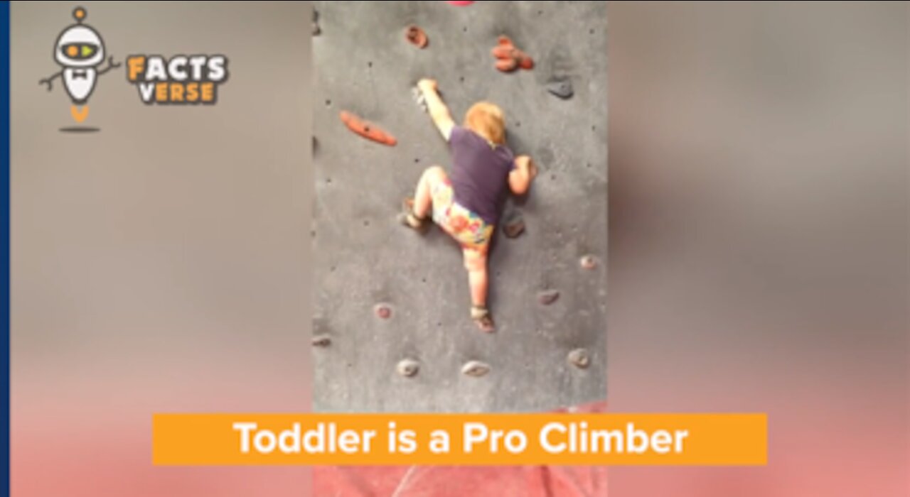 Toddler is a Pro Climber