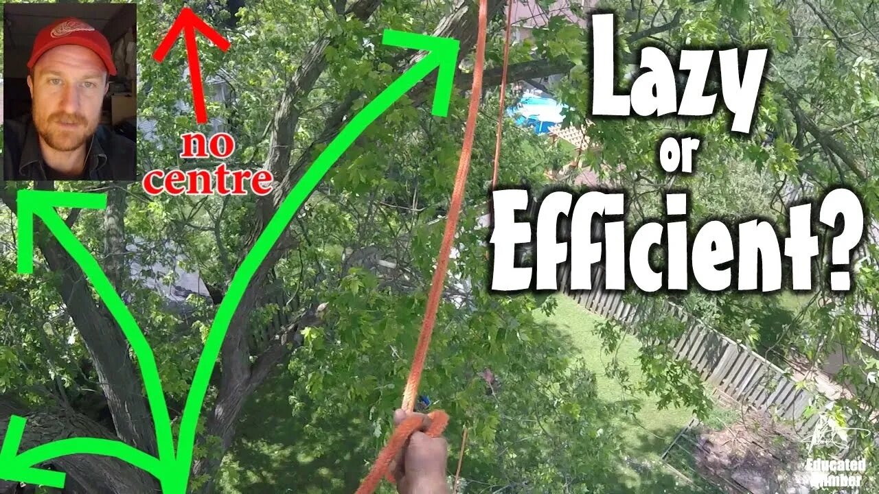 Lazy or Efficient? Polesaw in a Tree Episode 2: Rigging Out Of Reach