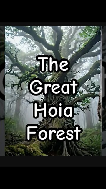 The Great Hoia Forest, a Mysterious Mystery short.