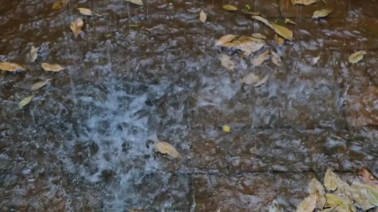 A warm autumn shower for sleep. Тепла осіння злива для сну.