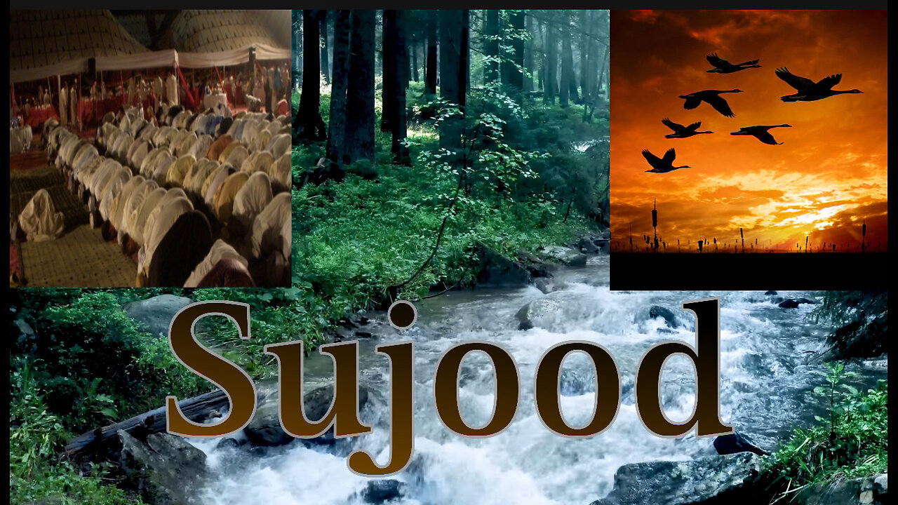 The Different Forms of Sujood Among the Creation.