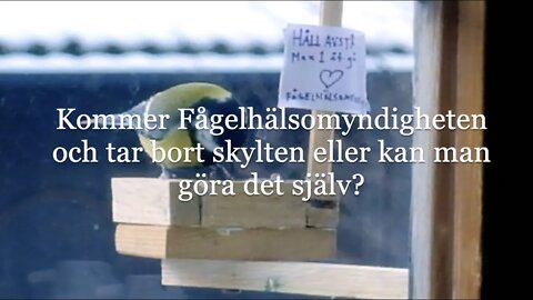 Tar fågelhälsomyndigheten själv ned skylten?