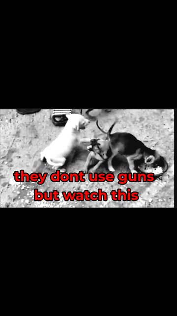 only men use guns and knives but watch this