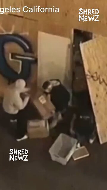 🚨 #BREAKING: Looting Erupts in Los Angeles Following Dodgers’ 2024 World Series Win