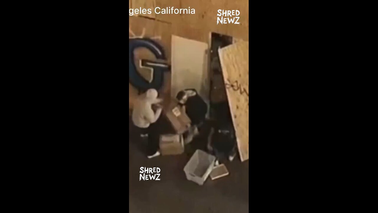 🚨 #BREAKING: Looting Erupts in Los Angeles Following Dodgers’ 2024 World Series Win