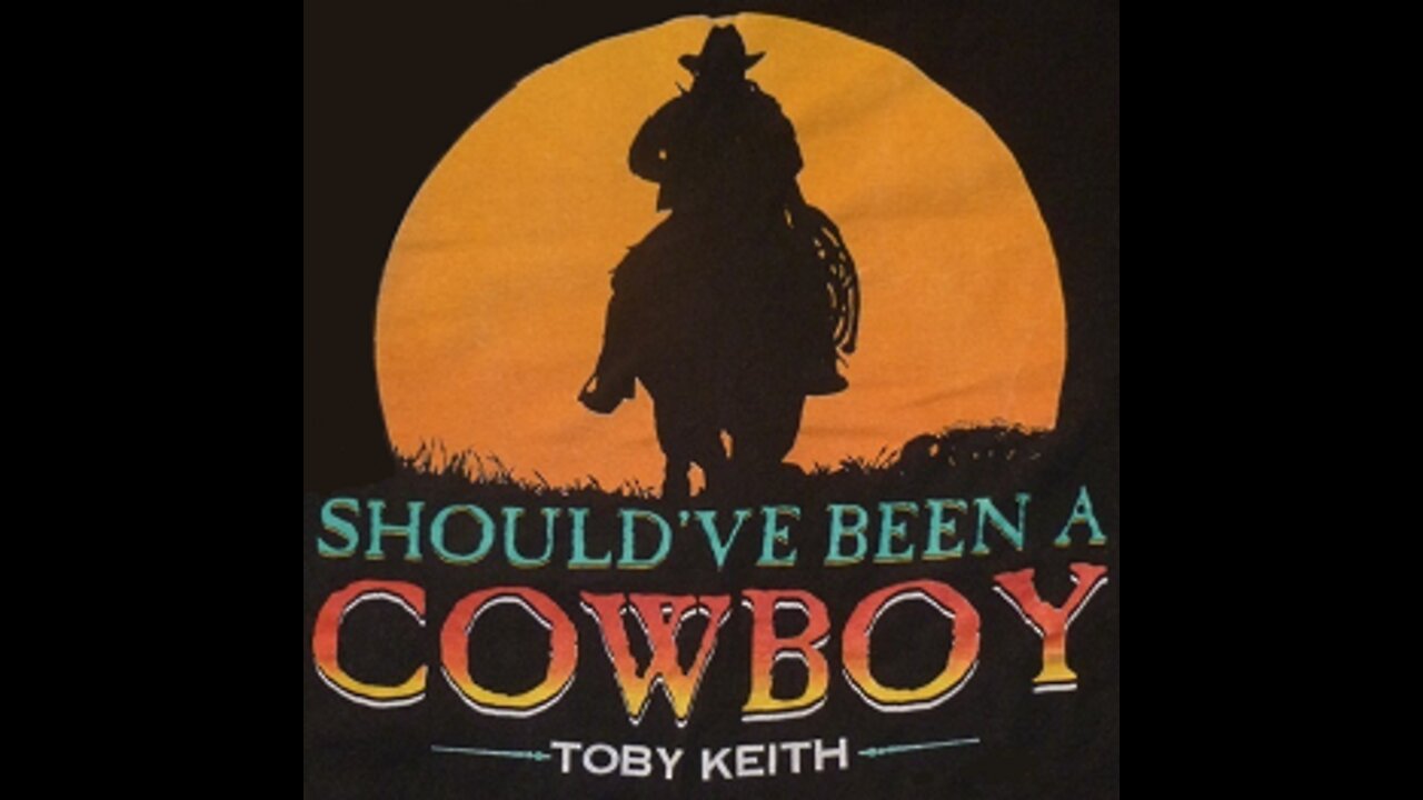 Toby Keith - Should've Been a Cowboy