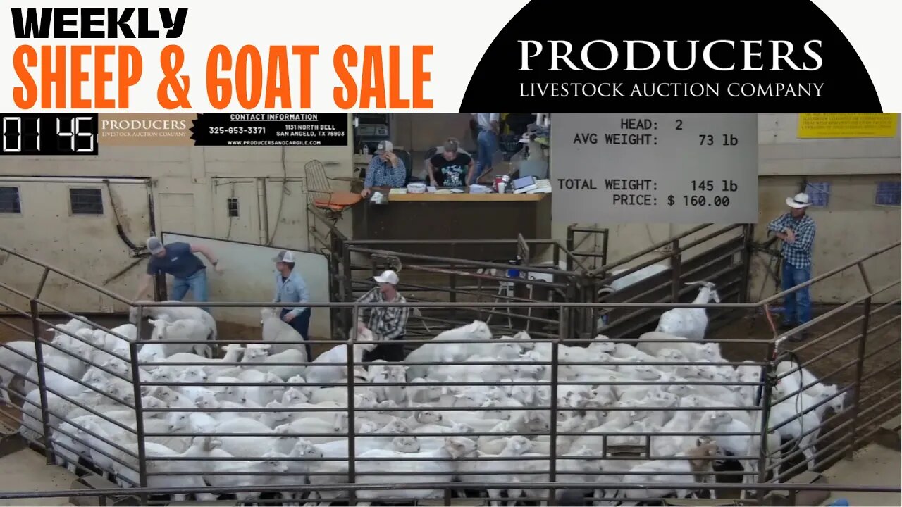 7/25/2023 - Producers Livestock Auction Company Sheep & Goat Auction
