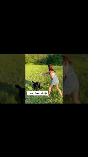 It truly is the best job in the world! 🐱 🐶