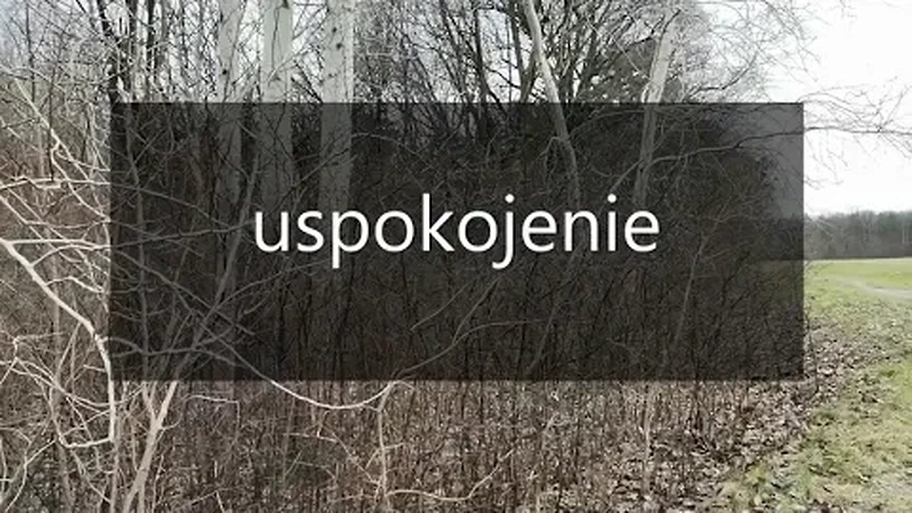 uspokojenie