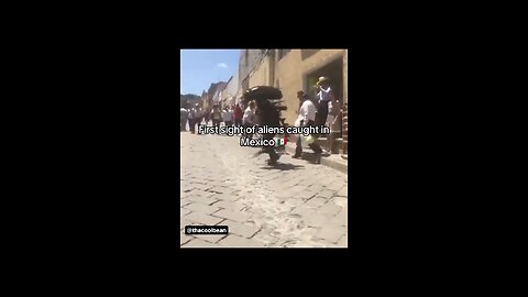 Alien sighting in Mexico 🇲🇽