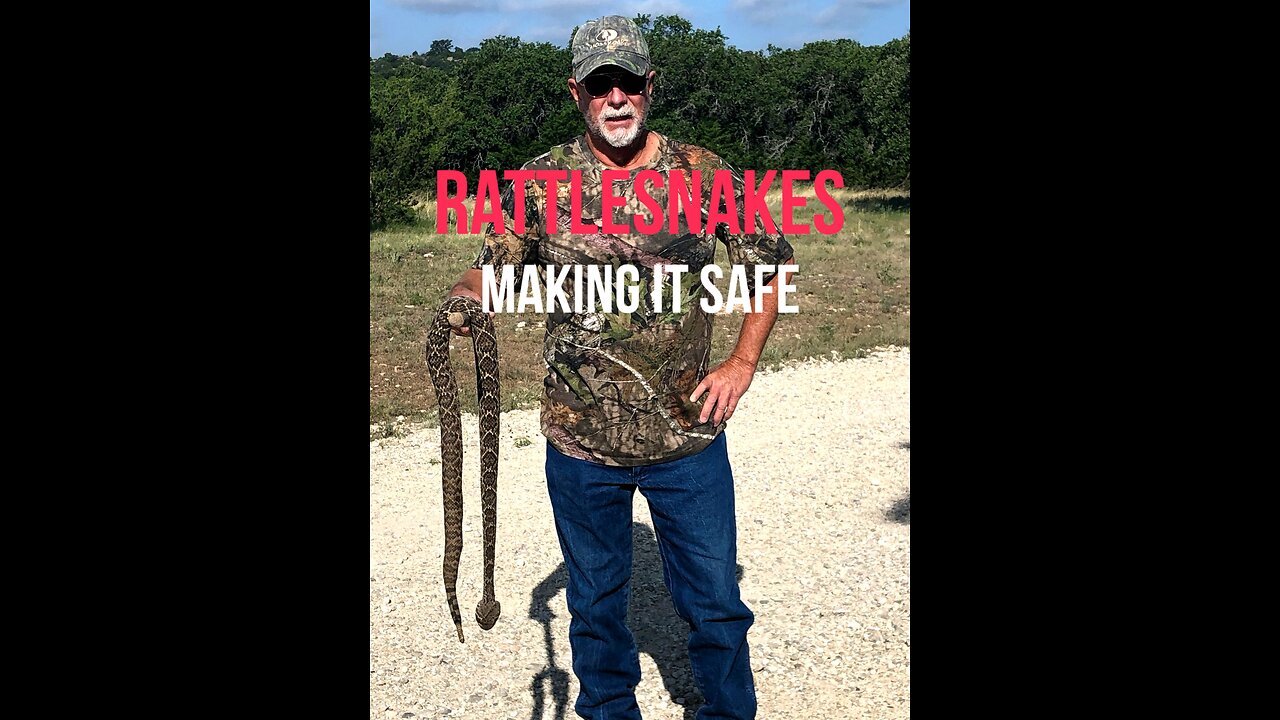 Rattlesnakes!!! MAKING IF SAFER