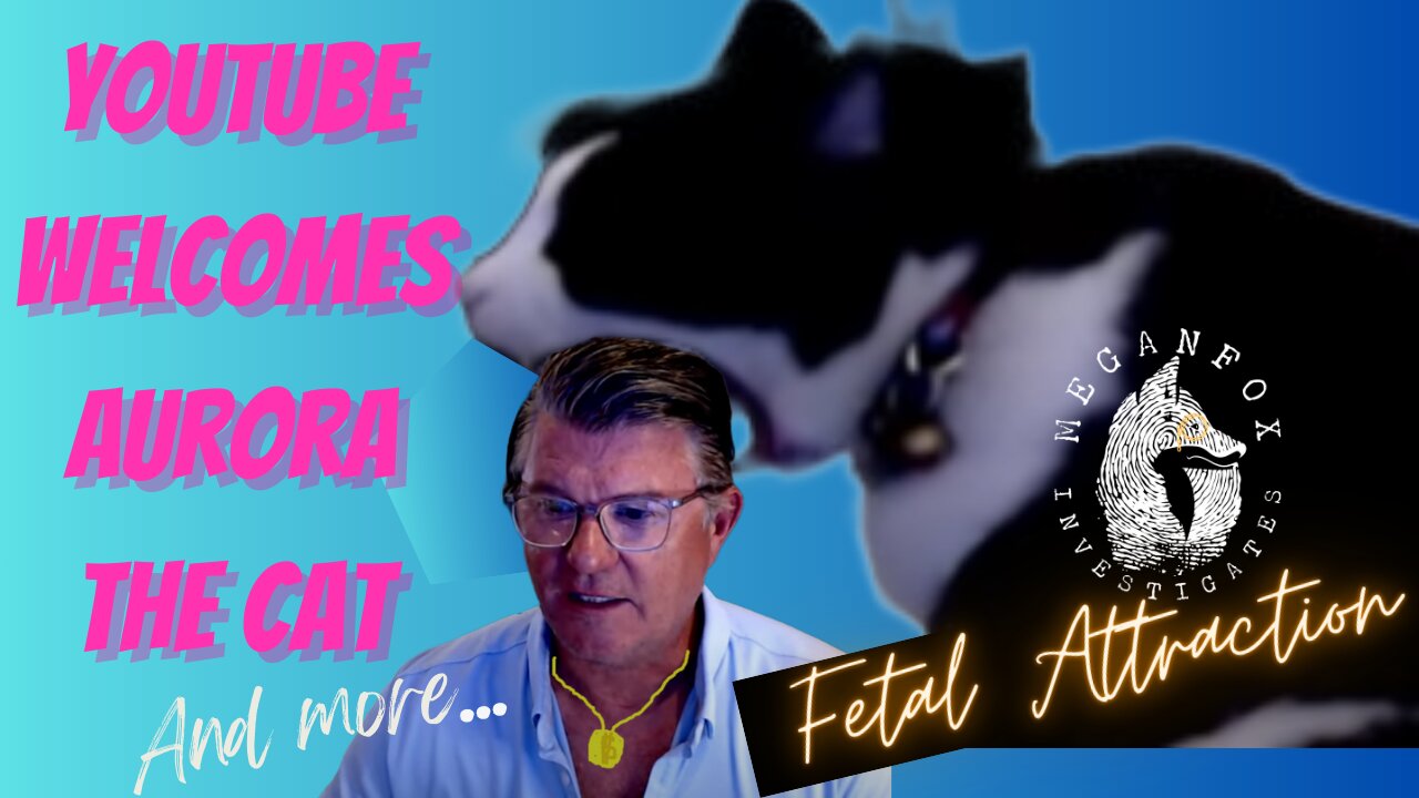 Fetal Attraction Update! YouTube Welcomes Aurora Gingras the Cat and More...