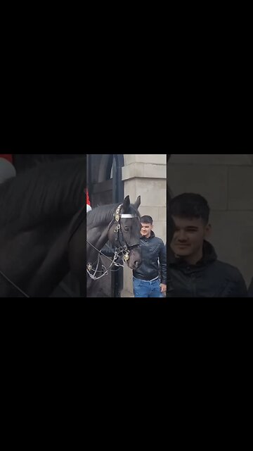 horse Lip up #horseguardsparade