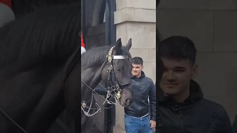 horse Lip up #horseguardsparade