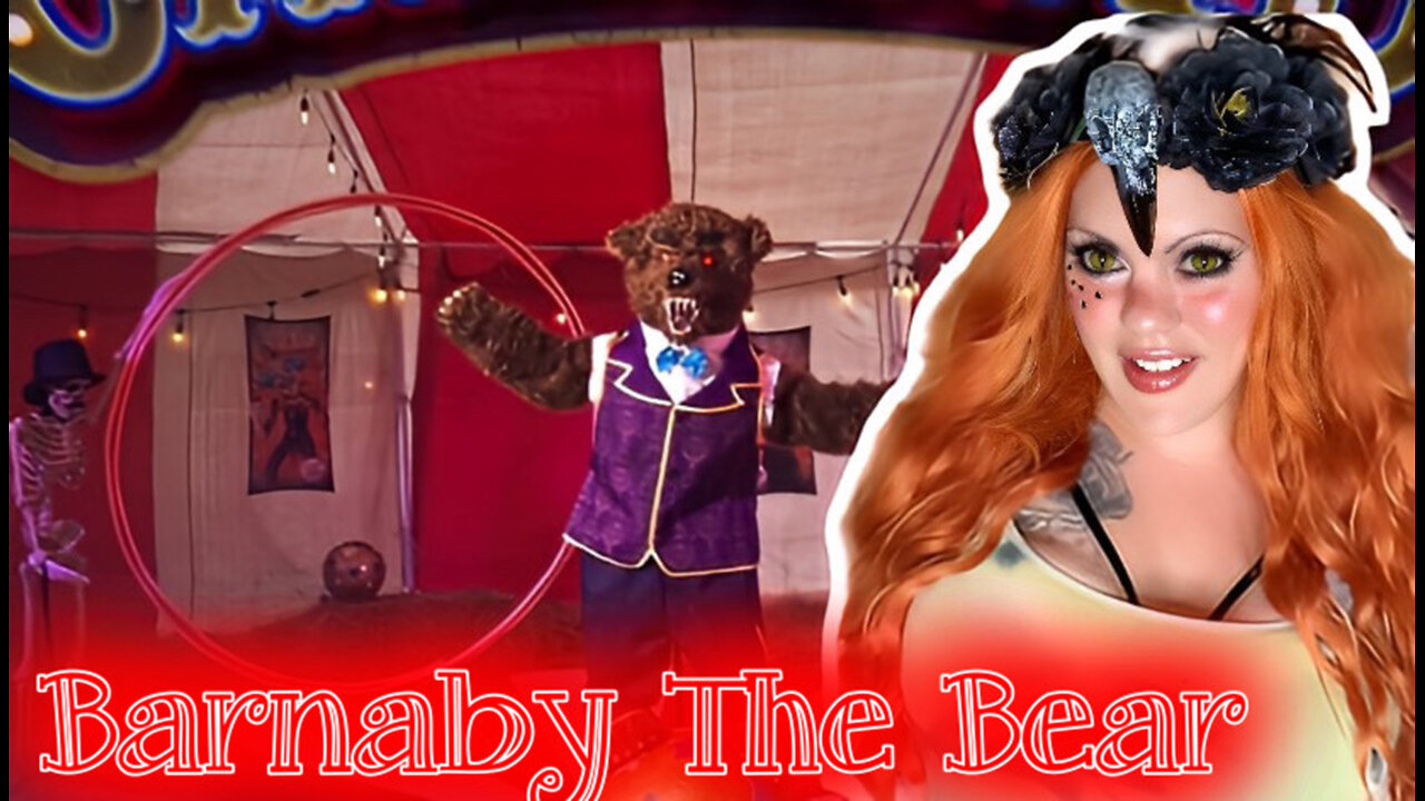 Rating and Reacting To Barnaby The Bear