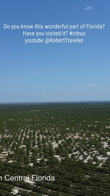 Do you know this wonderful part of Florida? Have you visited it? #florida #citrus #travel