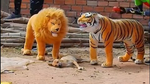 How to Troll Prank Dog Funny & fake Lion and Fake Tiger Prank To dog 😁