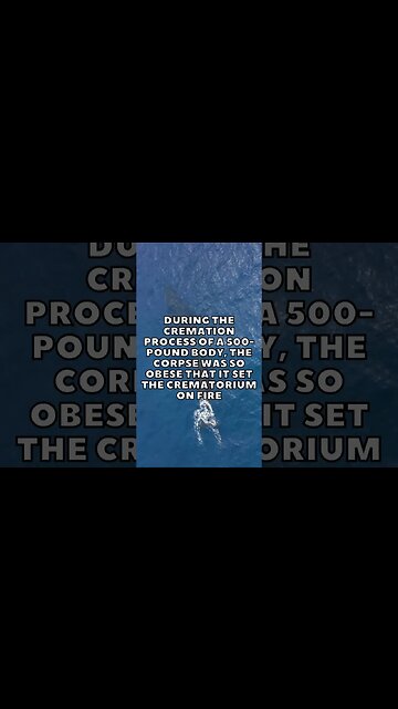 Incredible Random Facts That Will Expand Your Mind! [2023] #shorts #facts #viralshorts #fyp #life