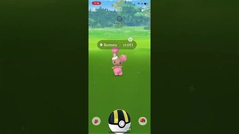 Shiny Compilation