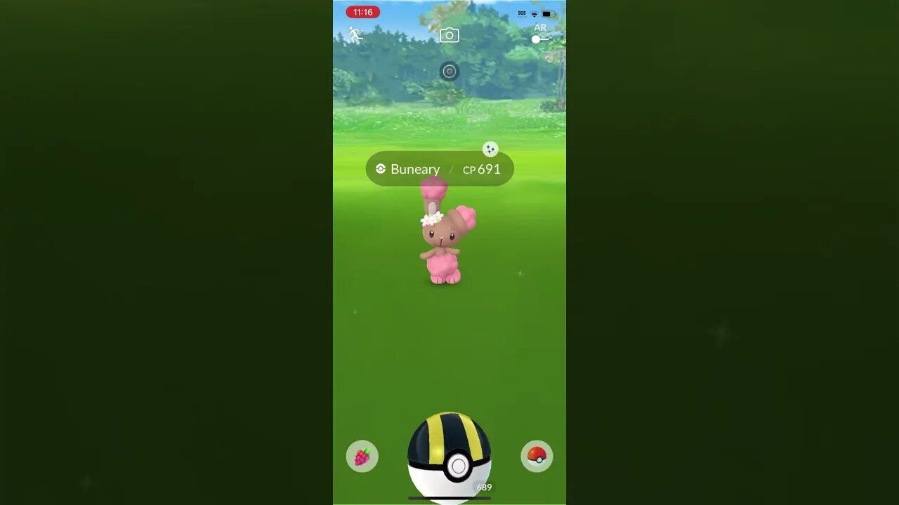 Shiny Compilation