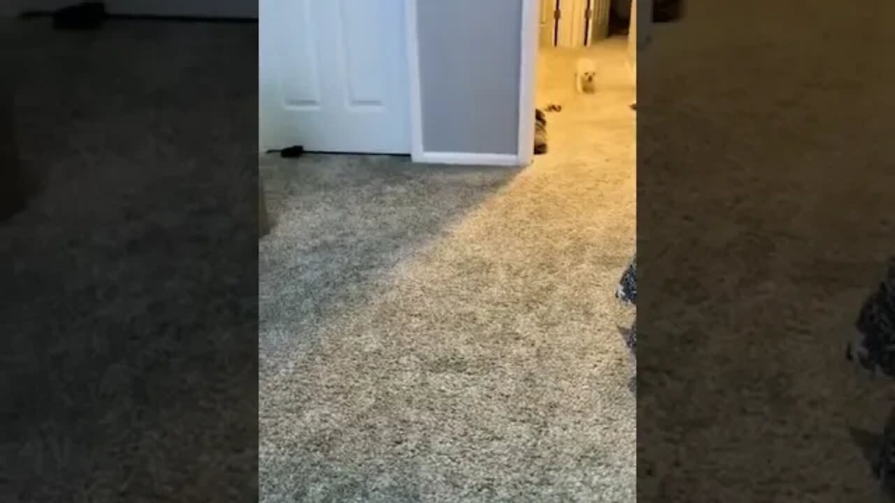 play hard sleep hard