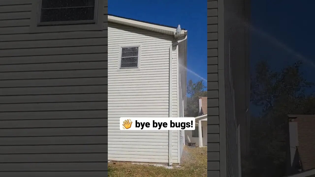 So Many Bugs!! 🕷🐛🐞 #powerwashing #satisfying #shorts