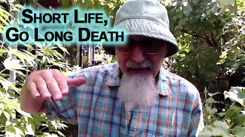 Short Life, Go Long Death: Investing & Personal Finance, Birth Rates & All Cause Mortality