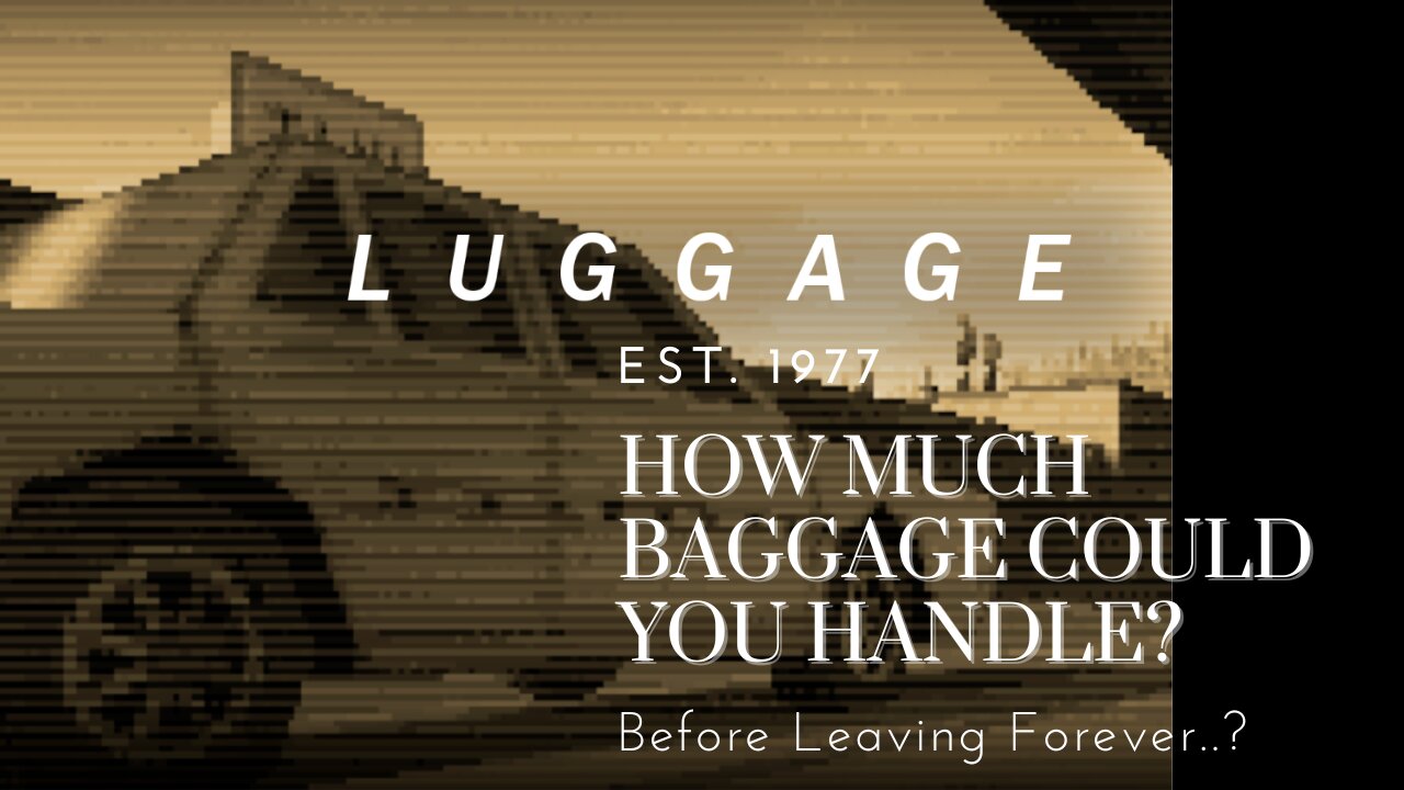 This Was Never A Vacation | Luggage