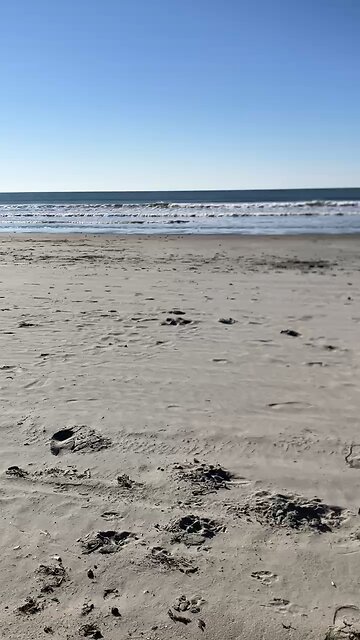 Who has placed the sand at the bound of the sea #Jeremiah 5:22#creation #easter #resurrection #Jesus