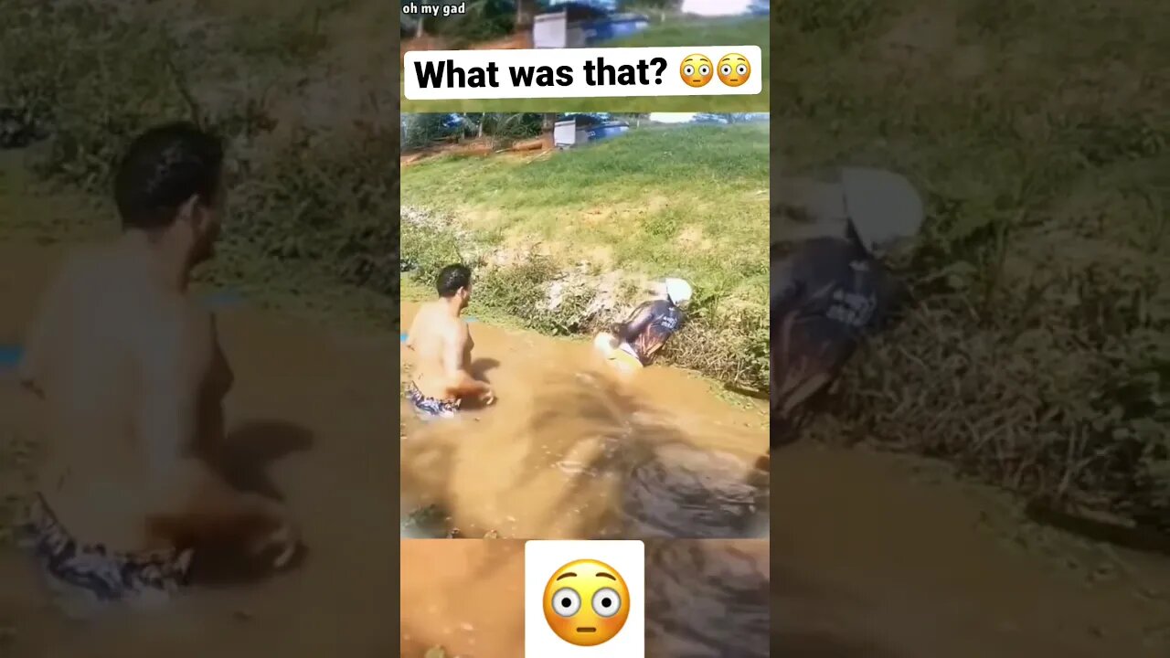 WHAT WAS THAT? 😳😳😳 #subscribe #shorts #viral #youtubeshorts #reels