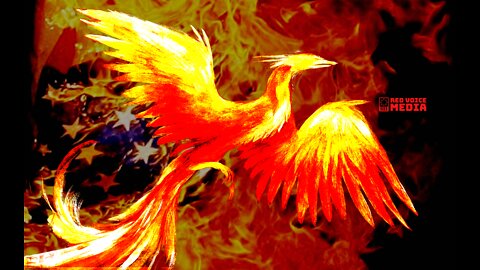 False Flag Fires! The Rise of The Phoenix - Press For Truth (2012)