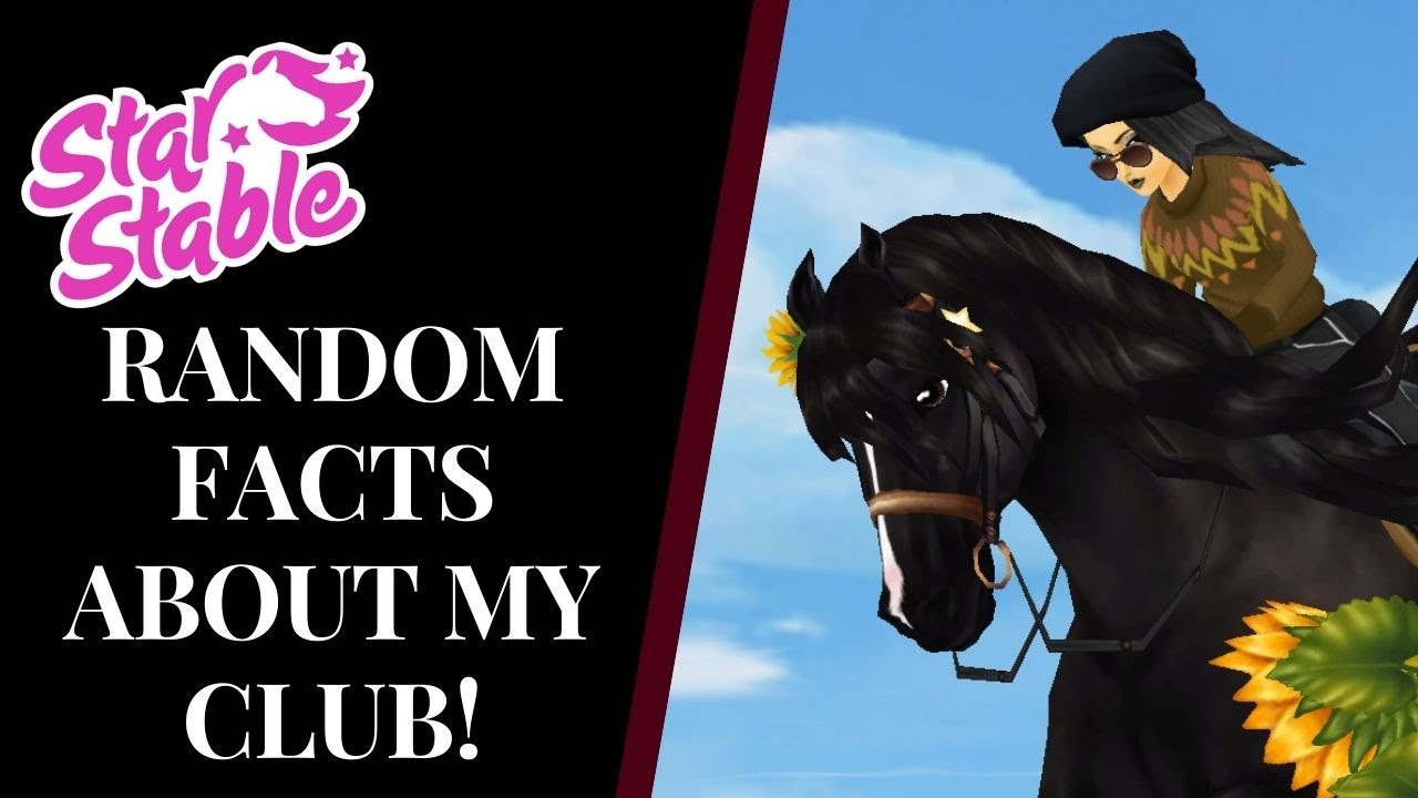 30+ RANDOM FACTS ABOUT METAL QUEENS! Star Stable Quinn Ponylord