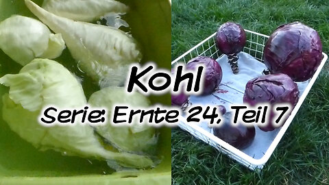 Mach's Dir. Selbst. - Kohl (Serie: Ernte 24, Teil 7)