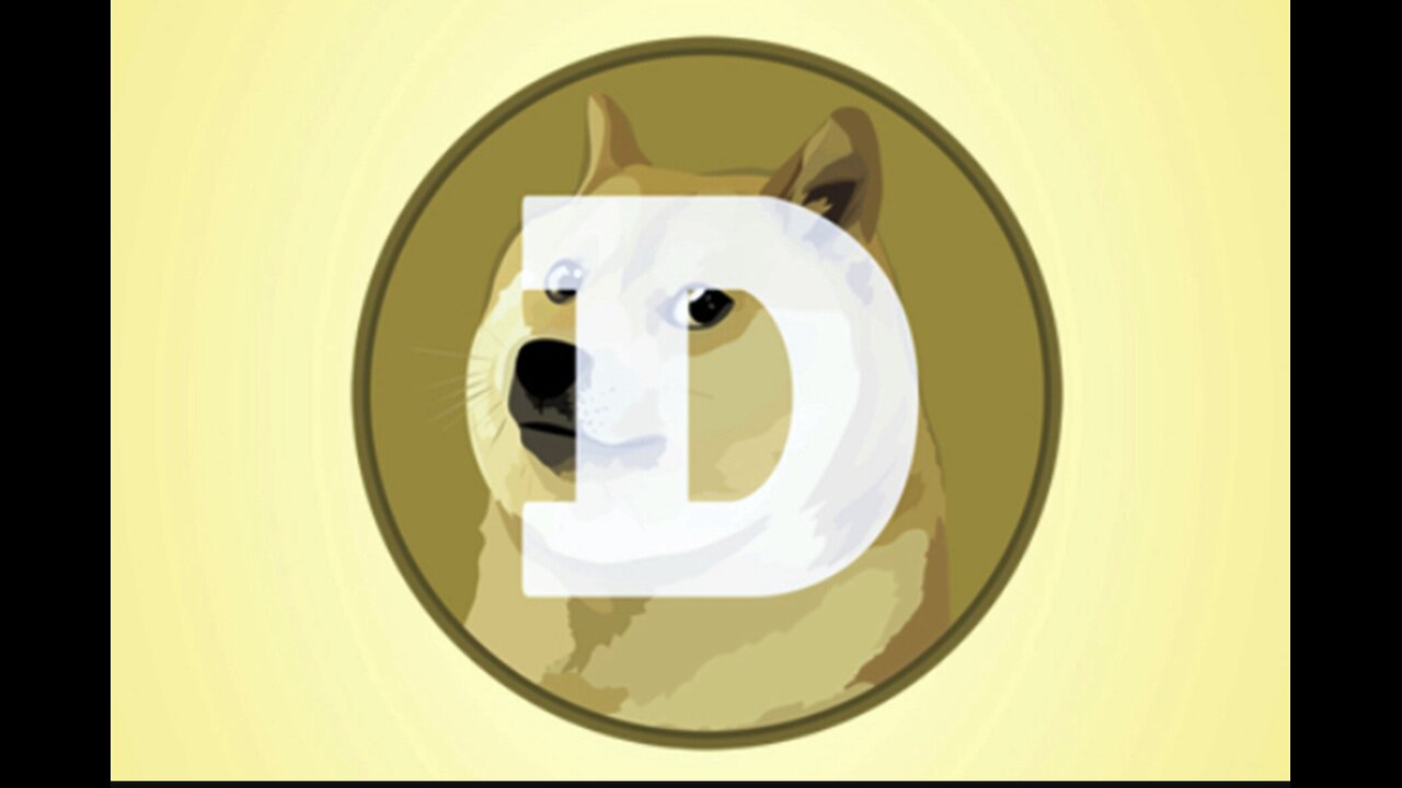 My thoughts on Doge,” soooo….whatcha doin ?”