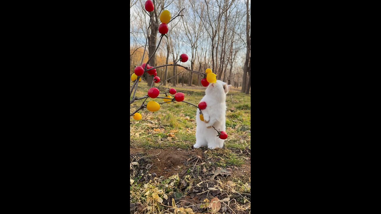 The squirrel is eating strawberries from the tree.