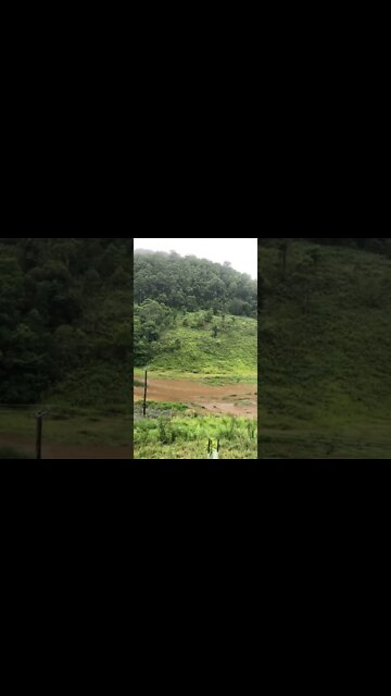 Gully flooding on 2 Mar 2022