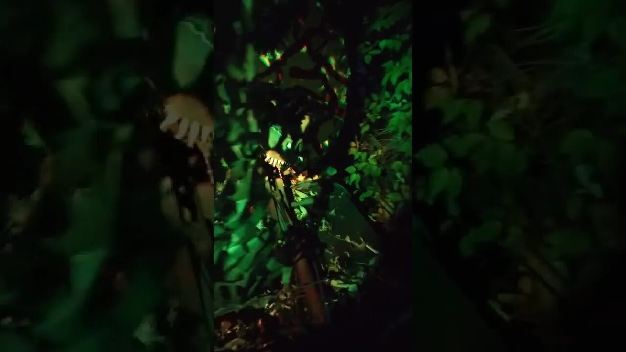 Jurassic Park walk through in Tarrytown NY