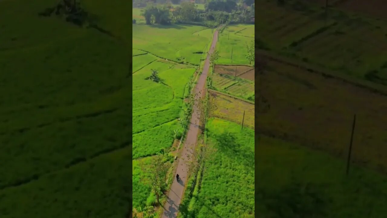 cinta-vina panduwinata Drone Footage Eksplorasi Pemandangan Desa Kalangan