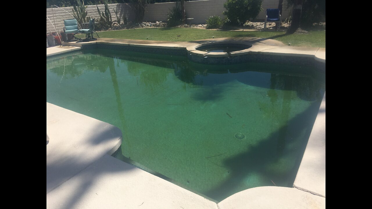 DO NOT LET YOUR POOL SERVICE NEGLECT YOUR POOL LIKE THIS!