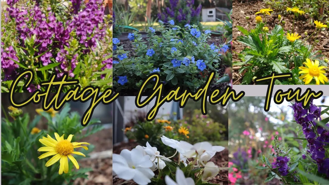 Cottage Garden Tour Zone 9b | Florida Cottage Garden | Florida Garden Tour & Garden Plans