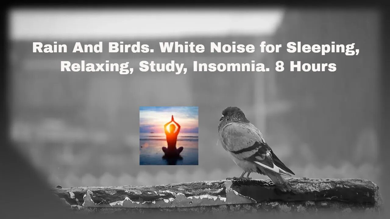 Rain And Birds. White Noise for Sleeping, Relaxing, Study, Insomnia. 8 Hours