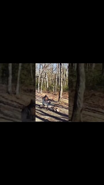 Camped in a winter blizzard 60 mph winds I didn't go as planned #shorts ￼