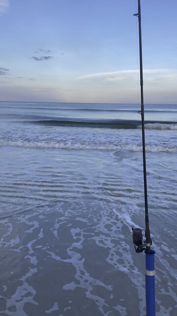 Surf fishing