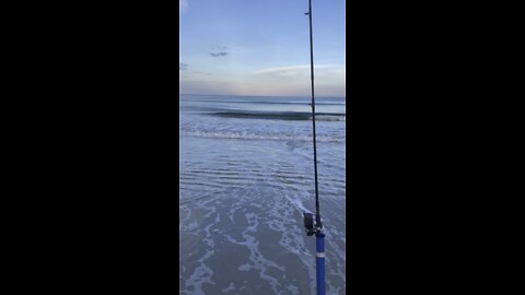 Surf fishing