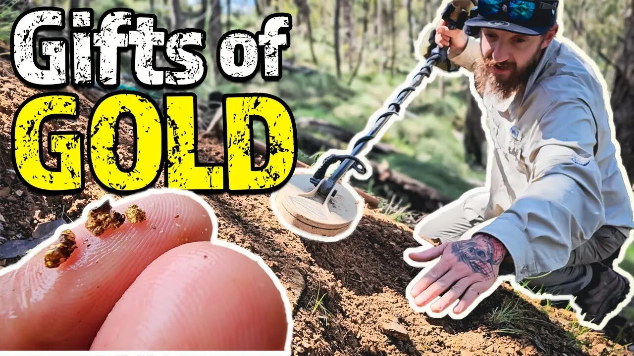 Working & Metal Detecting a Gold Ore Body