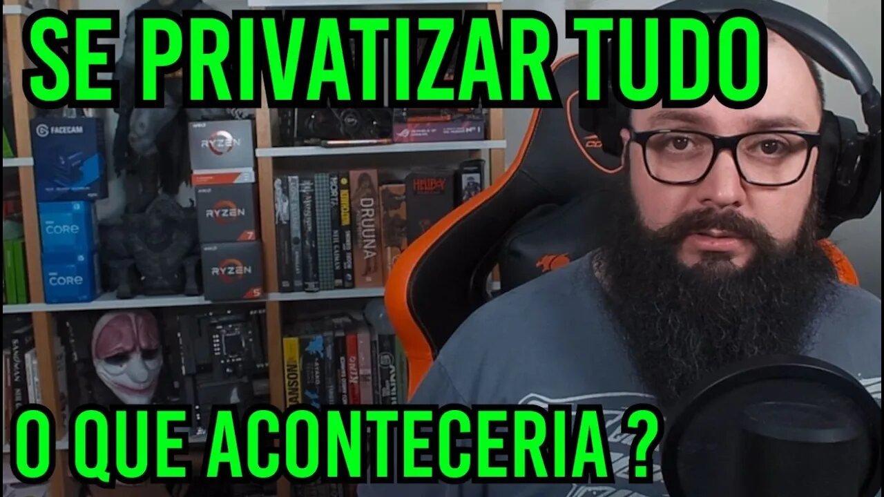 Se Privatizar tudo ! O que aconteceria ?